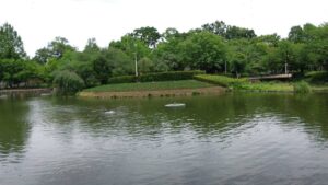 さぎ山記念公園8