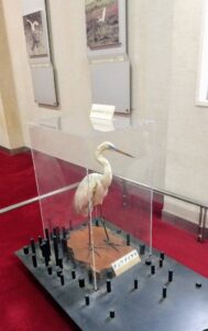 さぎ山記念公園11