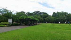 さぎ山記念公園1