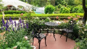 西武園ローズガーデン2