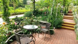 西武園ローズガーデン4