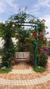 西武園ローズガーデン1