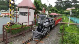 西武園レオとライヤの夕日列車