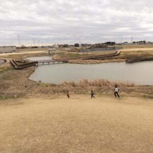 春日部夢の森公園芝生広場4