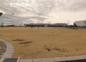 春日部夢の森公園芝生広場2
