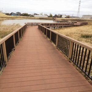 春日部夢の森公園野鳥観察エリア1