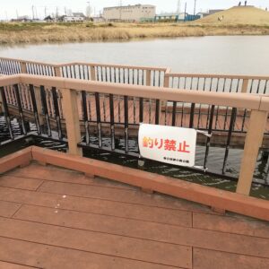 春日部夢の森公園野鳥観察エリア2 釣り禁止