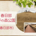 埼玉県県営公園【春日部夢の森公園】ソリ遊びやサッカー、ブレイブボードもできる広い公園