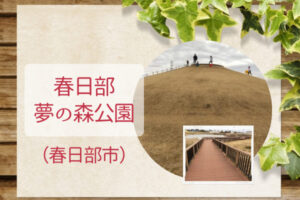 埼玉県県営公園【春日部夢の森公園】ソリ遊びやサッカー、ブレイブボードもできる広い公園
